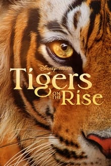 Tigres : le making of sur Disney +