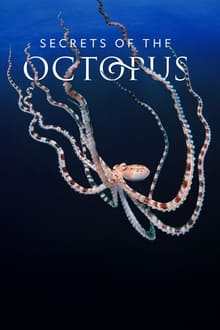Secrets of the Octopus-poster