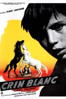 Crin blanc: Le cheval sauvage poster