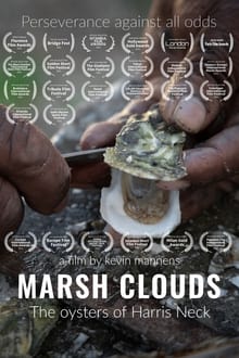 Marsh Clouds: The Oysters of Harris Neck