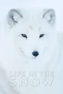 Life In The Snow