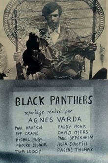 Black Panthers poster