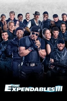 The Expendables 3 (2014) Hindi Dubbed