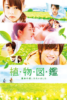 Evergreen Love-poster