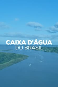 كايكسا دوغوا دو برازيل