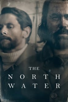 The North Water review