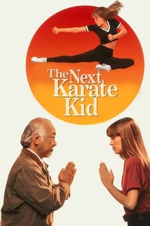 The Next Karate Kid-poster