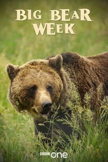 Big Bear Week