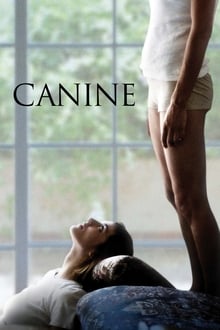 Canine poster