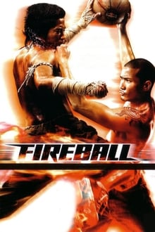 Fireball Torrent (2009) Dual Áudio BluRay REMUX 1080p FULL HD Download