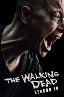 The Walking Dead S10E14