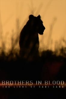فيلم Brothers in Blood: The Lions of Sabi Sand مترجم