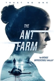 Imagem The Ant Farm