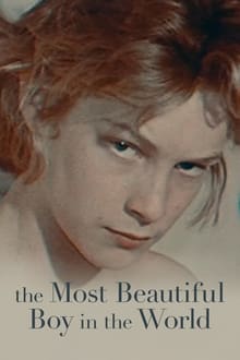 L'ange blond de Visconti poster
