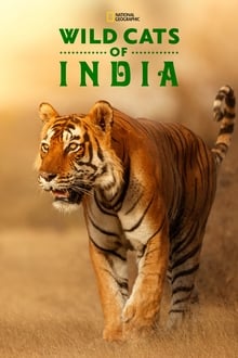 Image Wild Cats of India