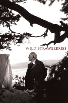 Wild Strawberries-poster