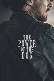 The Power of the Dog review