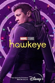 Hawkeye : Season 1 Dual Audio [Hindi & ENG] WEB-DL 480p, 720p, 1080p & 4K UHD | [Epi 1-6 Complete] | BSub