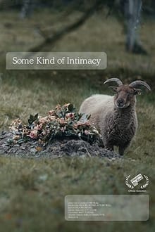 Some Kind of Intimacy poster