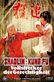 Shaolin Kung Fu Master