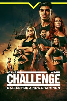The Challenge-poster