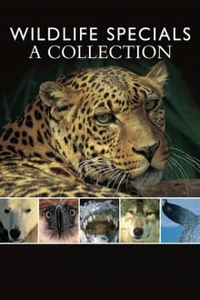 Wildlife Specials-poster