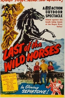 Last of the Wild Horses