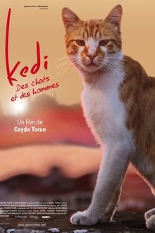 Kedi - Des chats et des hommes poster