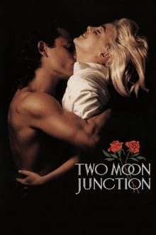 Giao Lộ Mặt Trăng - Two Moon Junction (1988)