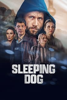 Sleeping Dog 2023 S01 WEB-DL 1080p | 720p | 480p Hindi + English x264 AVC AAC 6ch ESub