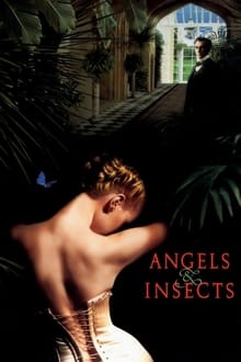 Imagem Angels and Insects