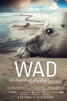 Wad: surviving on the border of water and land