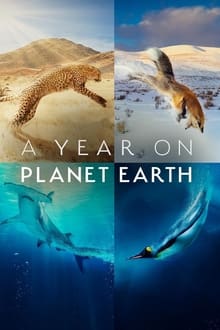 Image A Year On Planet Earth