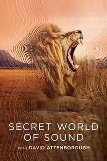 Imagem Secret World of Sound with David Attenborough