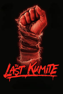 The Last Kumite-poster