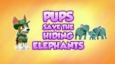 Pups Save the Hiding Elephants