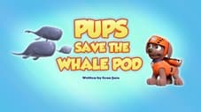 Pups Save the Whale Pod