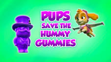 Pups Save the Hummy Gummies