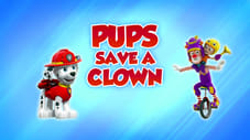 Pups Save a Clown