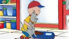Caillou Looks for Gilbert