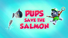 Pups Save the Salmon