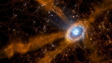 Secrets of the Cosmic Web