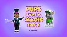 Pups Save a Magic Trick