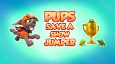 Pups Save a Show Jumper