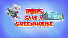 Pups Save a Greenhouse