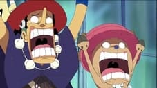 Ver One Piece Temporada 1 Capitulo 341 Sub Español Latino
