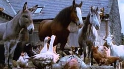 Animal Farm (TV Series 1999-1999) — The Movie Database (TMDB)