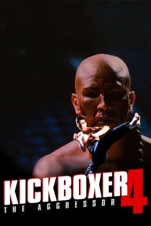 Kickboxer 4 l'Agresseur - Kickboxer 4 : The Aggressor - 1994