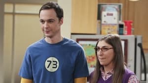 The Big Bang Theory 8 Sezon 17 Bölüm