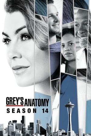 Grey's Anatomy  Season 14